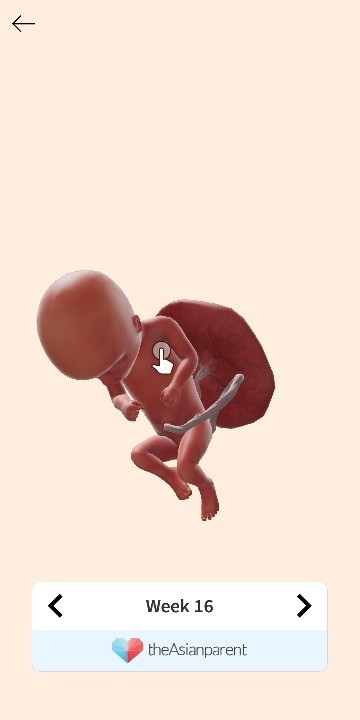 may masama po ba mangyare pag d ako nakapagcheckup 4 months preggy