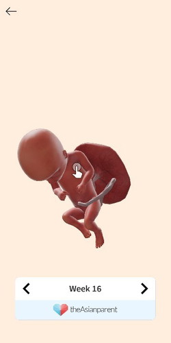 may masama po ba mangyare pag d ako nakapagcheckup 4 months preggy