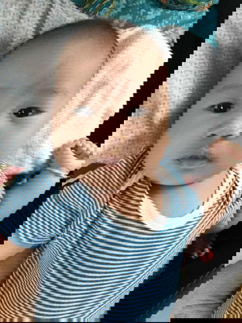 กำลังมองหานมผง