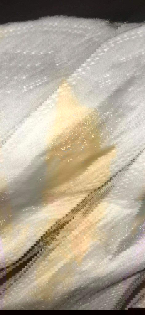 MUCUS PLUG @ 37 weeks + 2 days