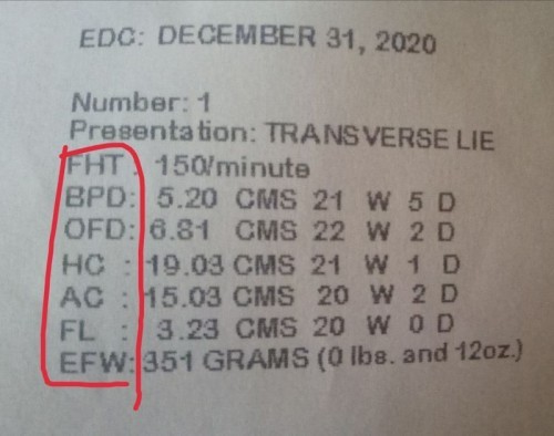 ultrasound report