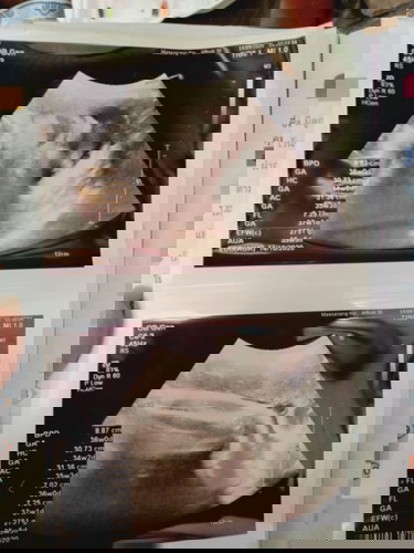 ดูให้หน่อยค่ะดูไม่เปน