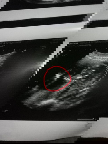 ช่วยดูหน่อยค่ะดูไม่ออก