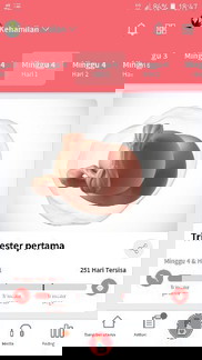 Bun mau nanya ini bnar ngga yah,Hpht 16agustus takutnya salah