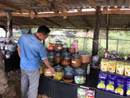 คุณพ่อแพ้ท้องแทน