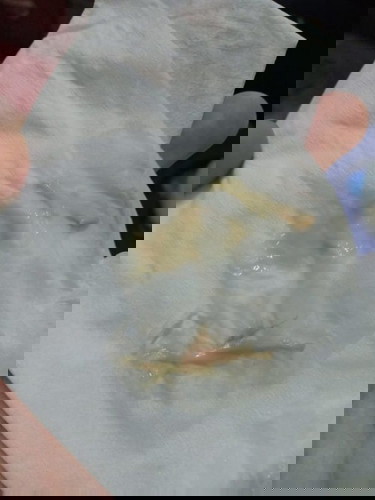 ขอถามแม่ๆ บ้านอื่นหน่อยค่า