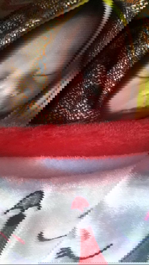 LAHIR DI 38 WEEK 5 DAY