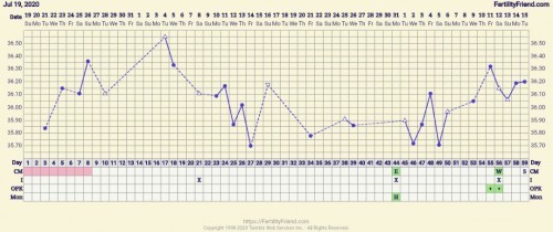 Bbt chart help