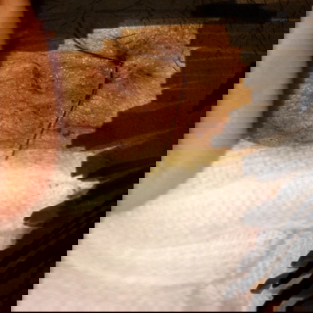 ขออภัยกับรูปภาพที่ไม่เหมาะสมค่ะแม่ๆ🙏🏻🙏🏻🙏🏻(ไม่อยากดูเลื่อนผ่านค่ะ)