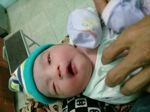 mundur dari hpl
