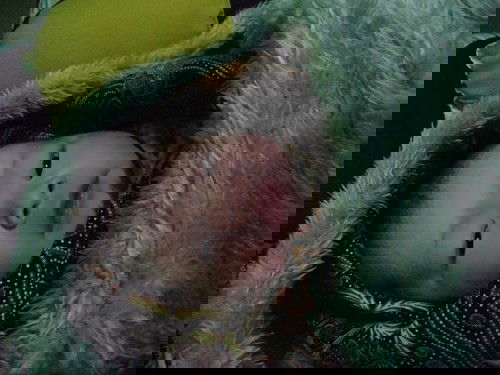 Welcome to the word baby boy