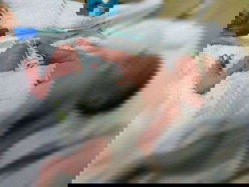 Semangat untuk mengASIhi