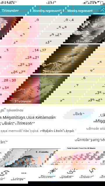 lebih enak pake hitungan bulan daripda minggu