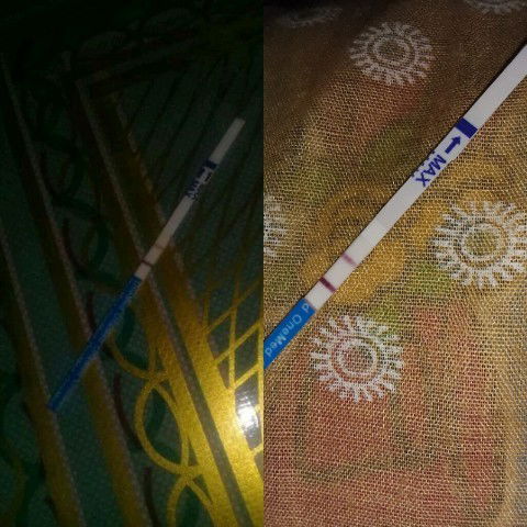 Saya trakhir haid 16 agustus pada tgl 9 september saya pusing dan lemes2 pas Tp hasilnya positip pad