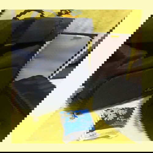 Review Allegra Arthur Roll Top Diaper Backpack