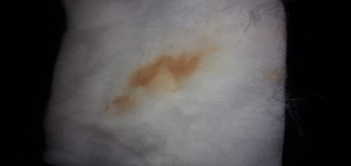 รบกวนหน่อยค่ะ