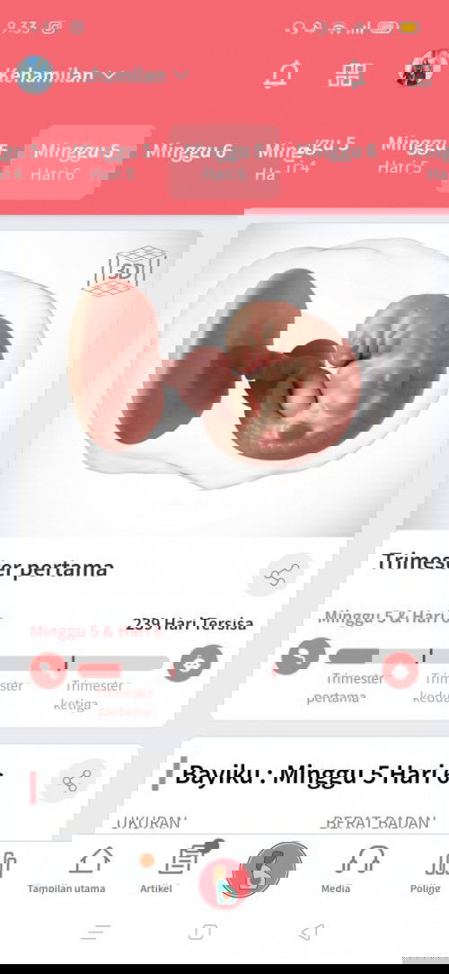 tespec negatif uk 5 week