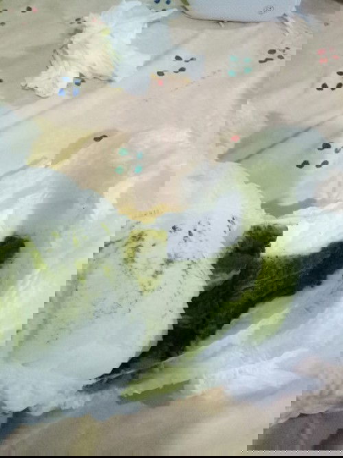 Pup Bayi Tdk berampas