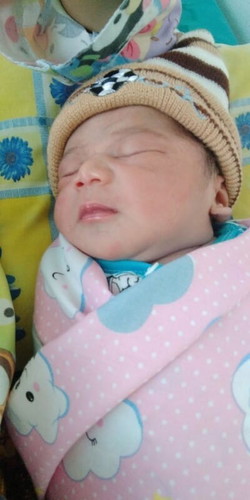 tepat hpl