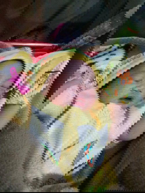 Lahir sc maju  dari hpl