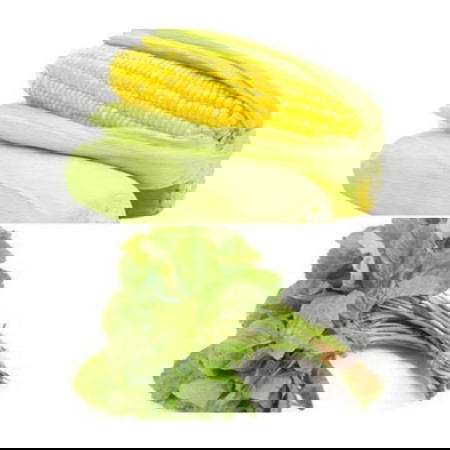 Menu mpasi untuk buah hati
Dengan jagung manis&bayam