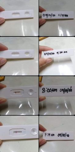 pregnancy test