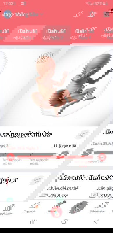 38w3d hóng chuột