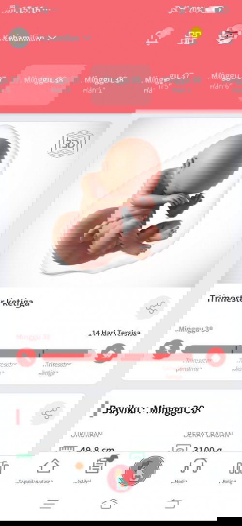 Menunggu gelombang cinta ..