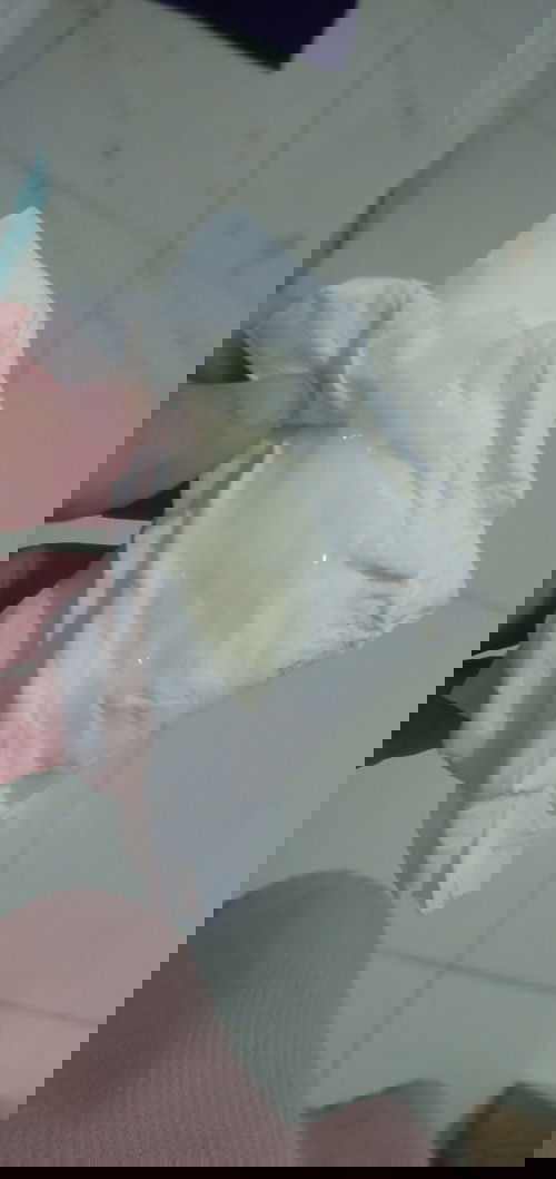 Mk dg mang bầu ở tuần 38 
Dạo này hay ra dịch như vậy .
Hỏi các m liệu có phải nút nhầy k ạ