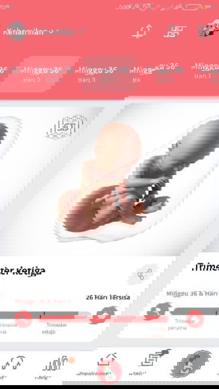 TANDA TANDA MELAHIRKAN