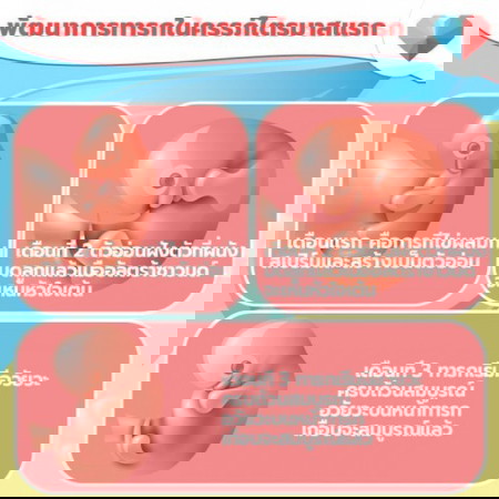 🤰🎁พัฒนาการเจริญเติบโตของลูกน้อยแต่ละช่วง