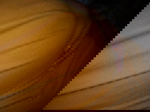 Hamil 13w4d perut udah besar