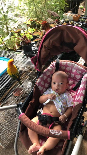 พี่ๆน้องๆกี่เดือนกันบ้างแล้วงับ