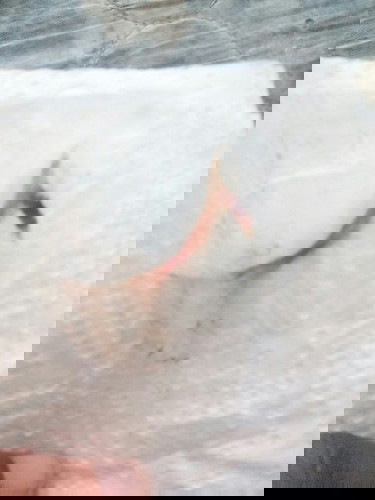 มีมูกปนเลือดออกแบบนี้คืออะไรค่ะ