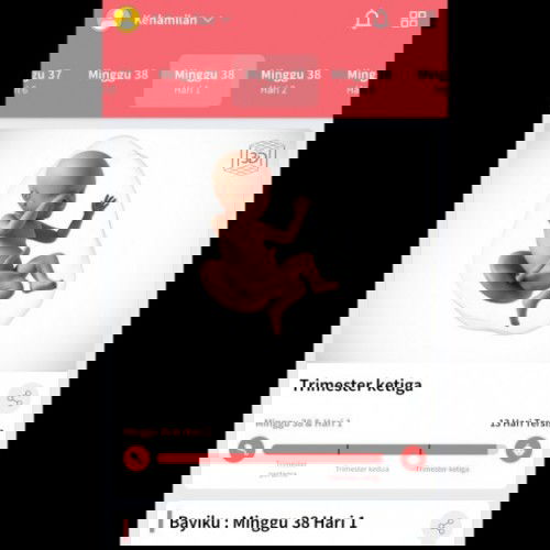 Menunggu gelombang cinta