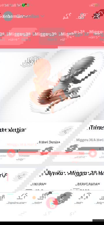 Menunggu gelombang cinta