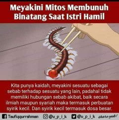 HUKUM MEMBUNUH BINATANG SAAT HAMIL