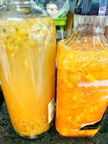 Kombucha F2