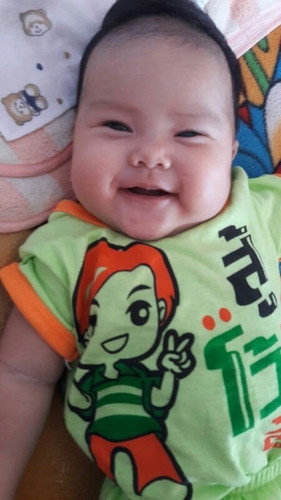 หมูน้อย