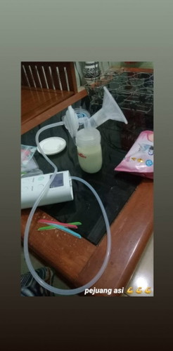 Pentingnya MengASIhi bayi