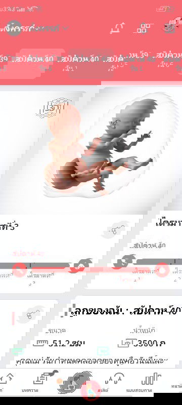 ทีมกันยายังไม่คลอด