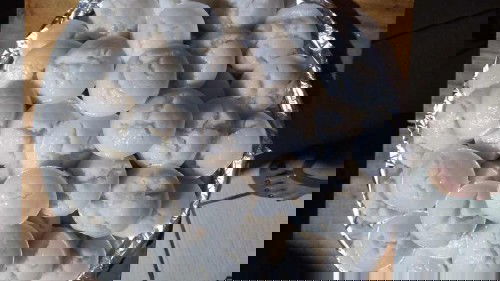 Available po Puto po