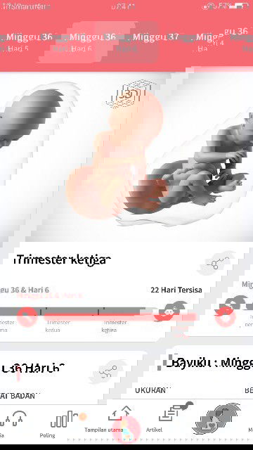 siapa yang sudah di rencanakan dokter Sc