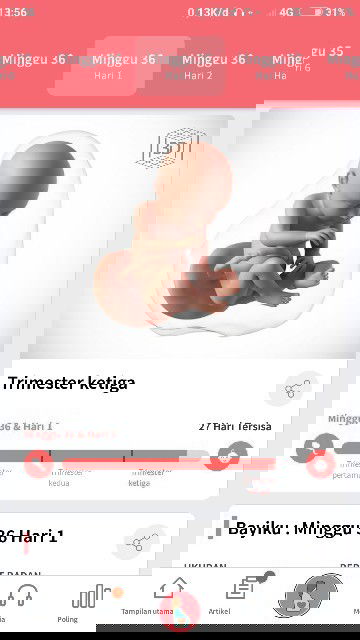 Menunggu gelombang cinta...