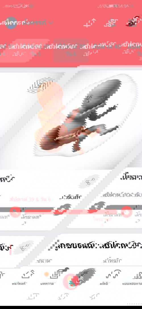 สอบถามแม่ๆ ที่ผ่าคลอดหน่อยค่ะ