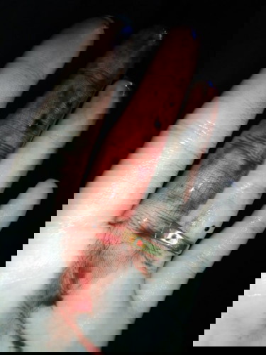 สอบถามน่อยค่ะ