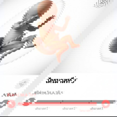 ใครคลอดตรงกำหนดบ้างคะ