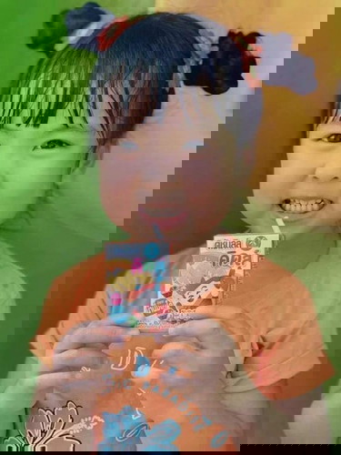 นมดัชมิลล์คิดส์