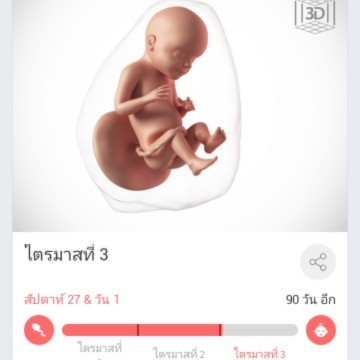 ทีม25ธันวาคม