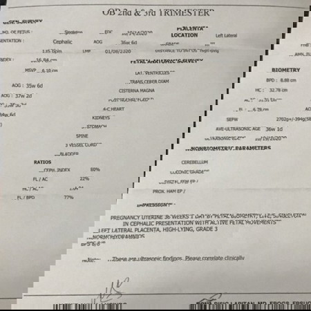 Ultrasound Results